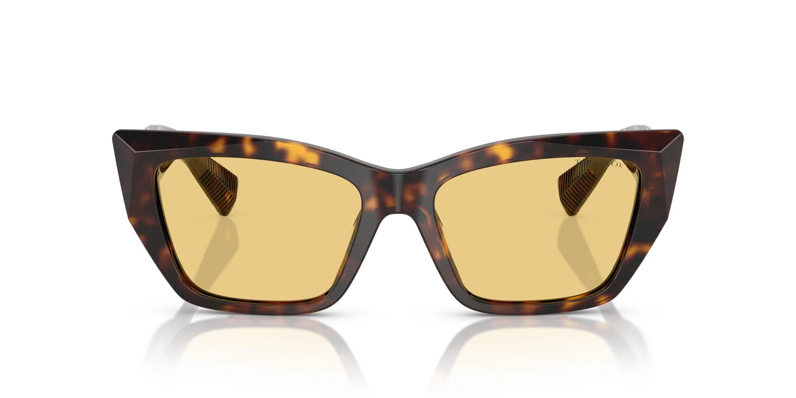 Tiffany 4230F Sunglasses - view 23